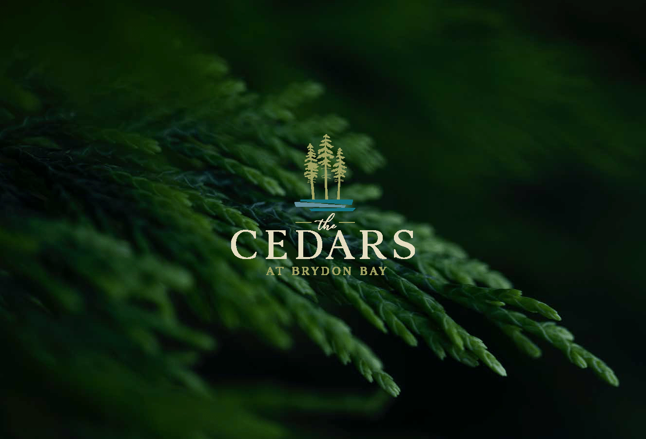 /assets/pdf/brochure/the-cedar/The-Cedars-Brochure_Page_01.png